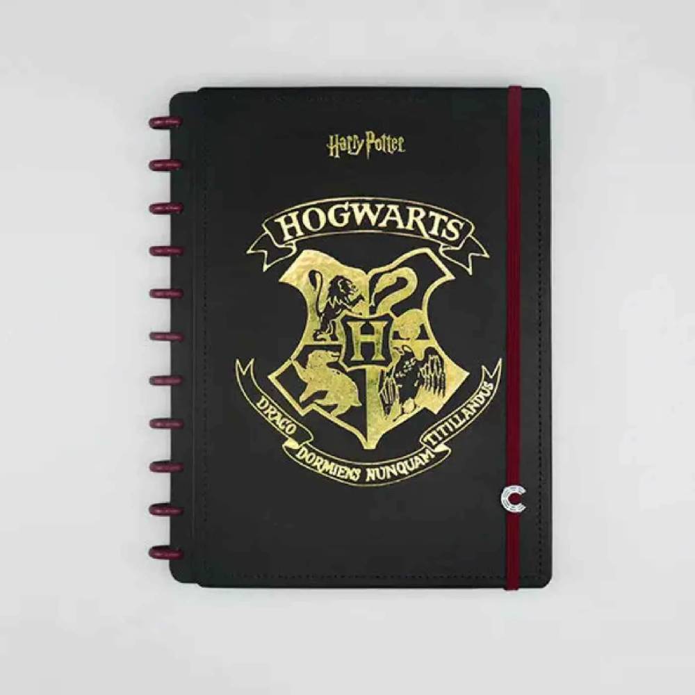 Caderno Inteligente Grande Harry Potter 75738-24