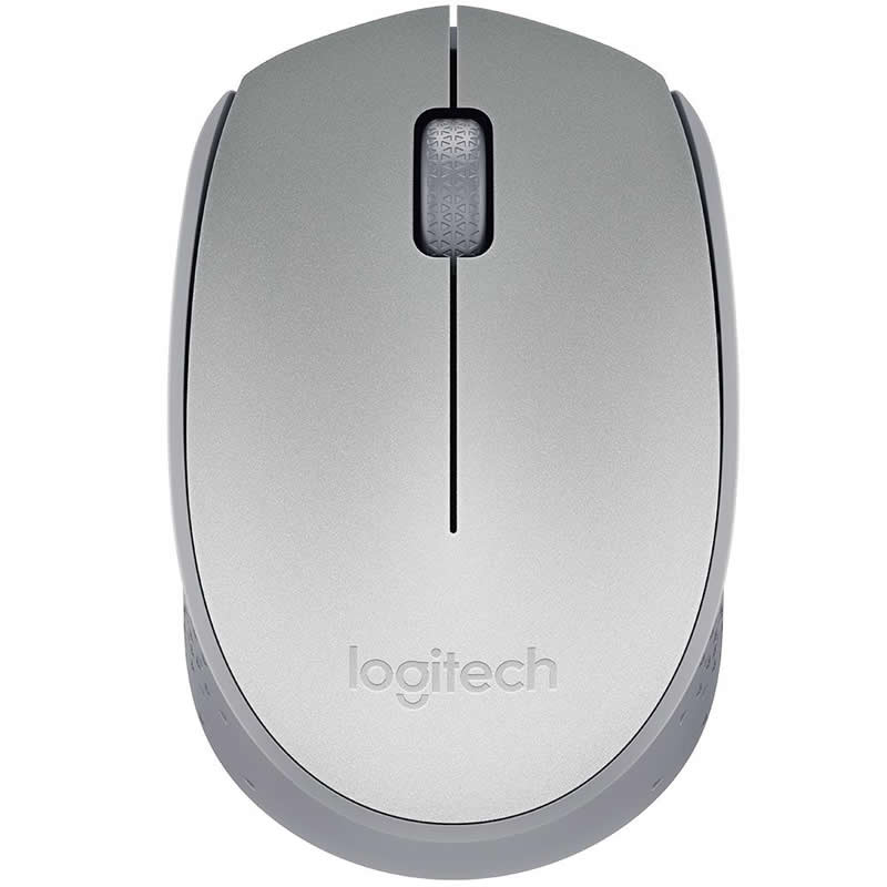 Mouse Logitech Wireless M170 Prata